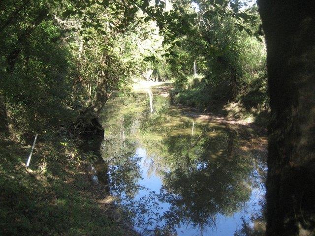 Farm for sale in Springfield, Kentucky