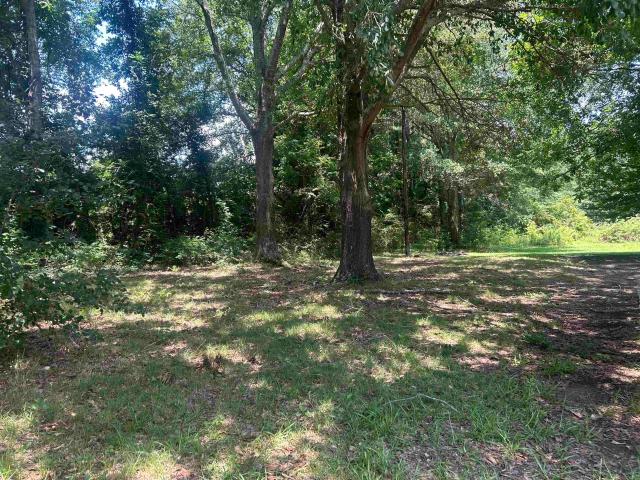 House for sale in Hanceville, Alabama