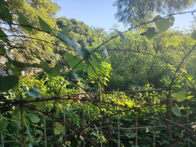 Land for sale in Seaview, Kwazulu-natal