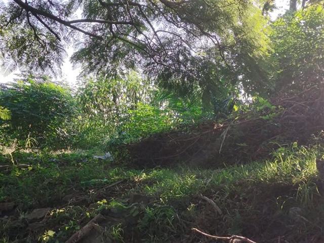 Land for sale in Durban