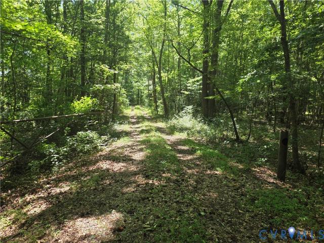 Land for sale in Virginia