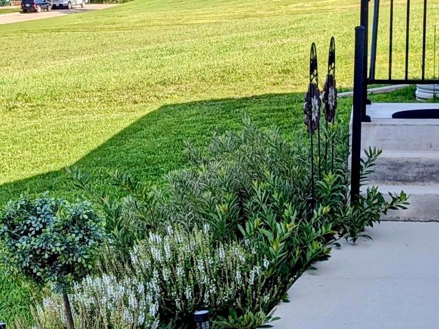 House for sale in Anita, Iowa