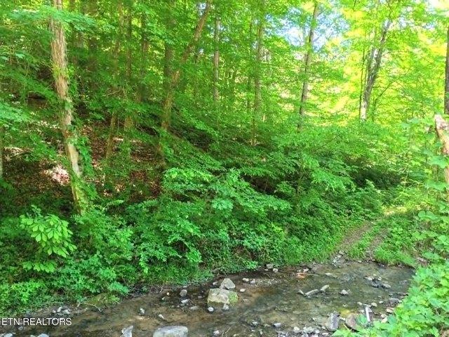 Land for sale in Tennessee