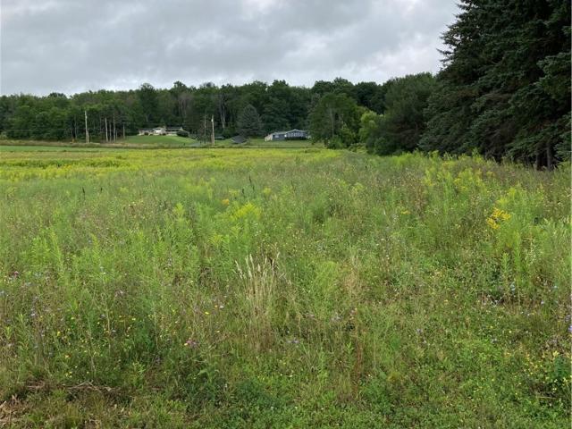 Land for sale in Dansville, New York