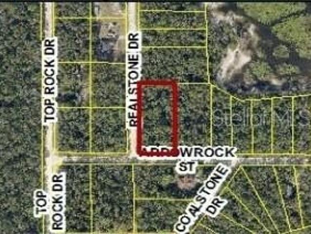 Land for sale in Webster, Florida