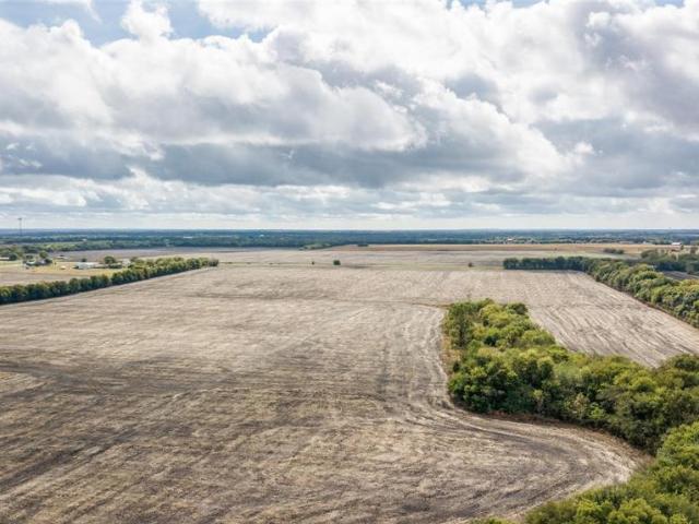 Land for sale in Tom Bean, Texas