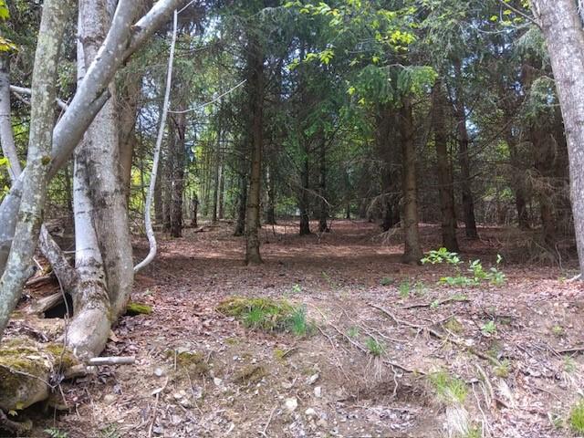 Land for sale in Worcester, New York