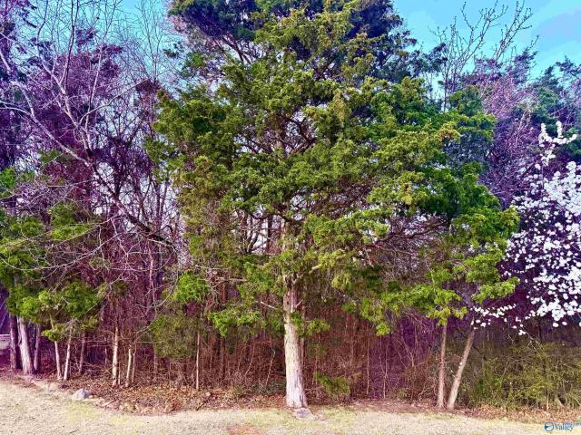 Land for sale in Decatur, Alabama
