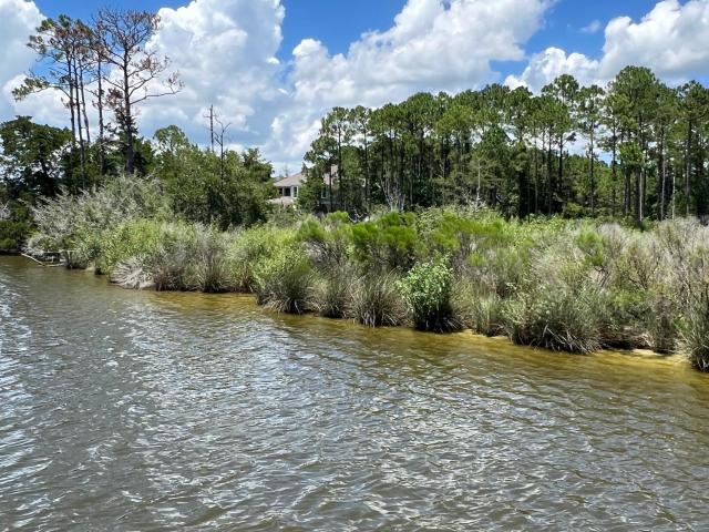 Land for sale in Foley, Alabama