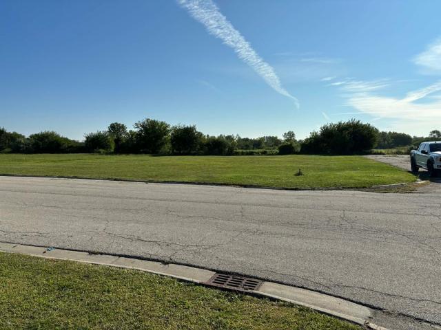 Land for sale in Braidwood, Illinois