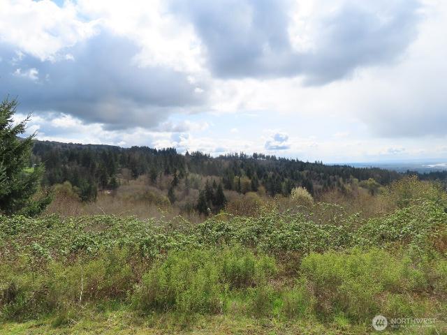 Land for sale in Kalama, Washington
