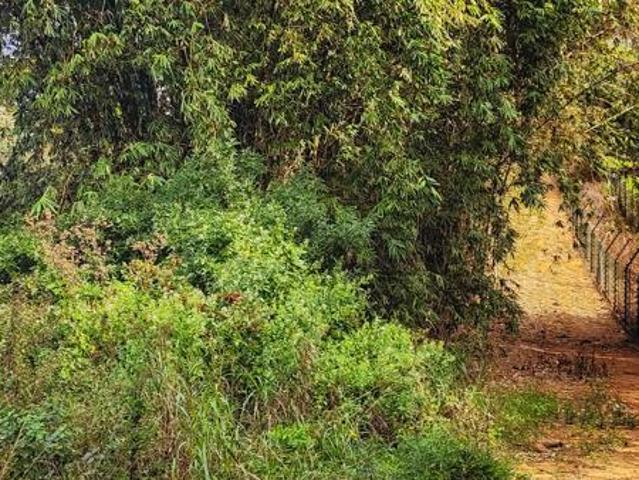 Land for sale in Princess Grant, Kwazulu-natal