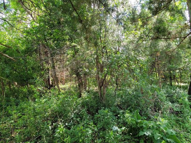 Land for sale in Kossuth, Iowa