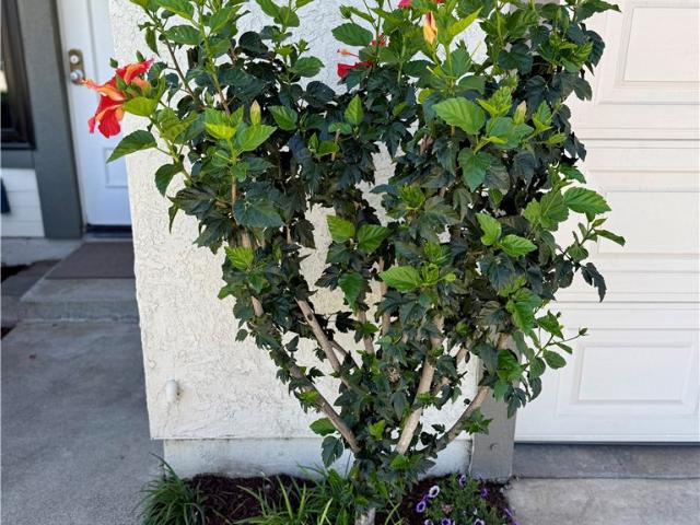 Condo for sale in Riverside, California