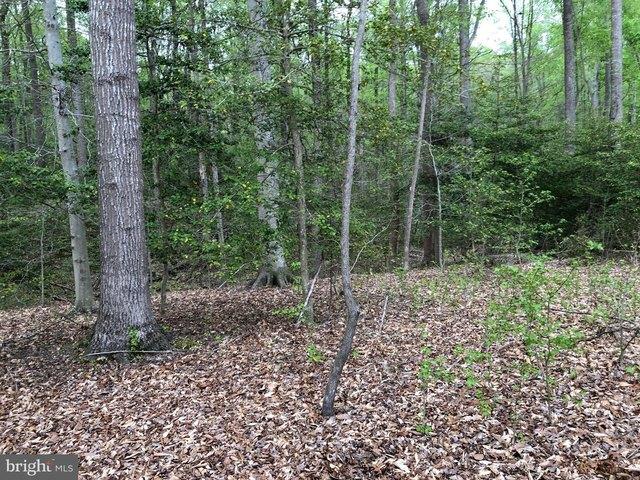 Land for sale in White Plains, Maryland