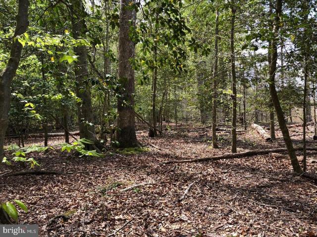 Land for sale in Bennsville, Charles County
