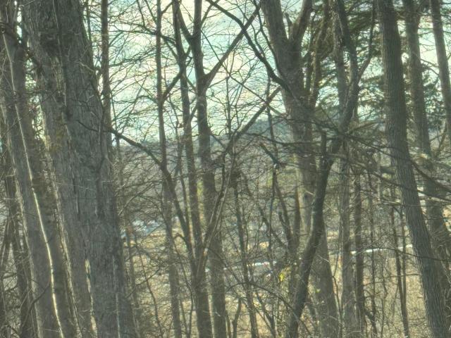Land for sale in Tennessee