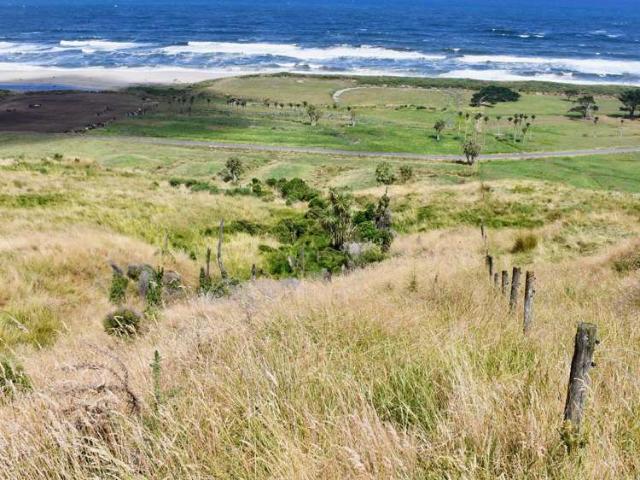 Property for sale in Karamea, West Coast