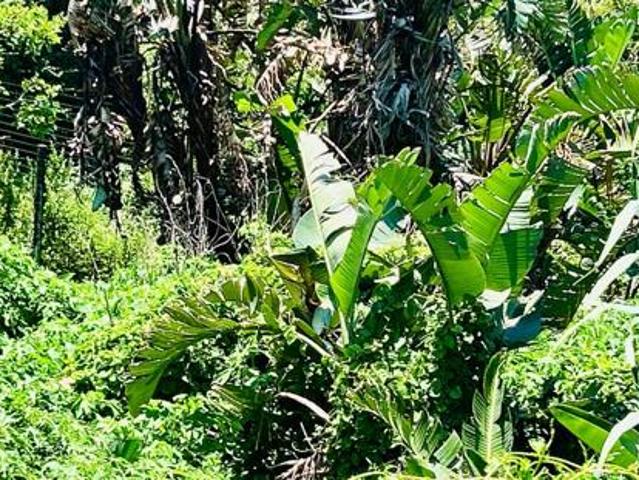 Land for sale in Ugu District Municipality, Kwazulu-natal