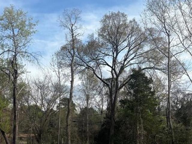 House for sale in Greenwood, Louisiana