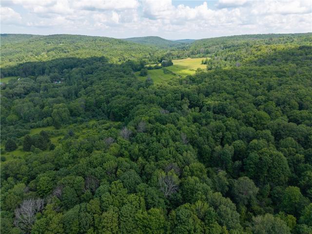 Land for sale in New York