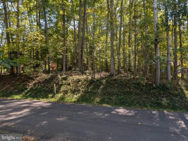 Land for sale in Virginia