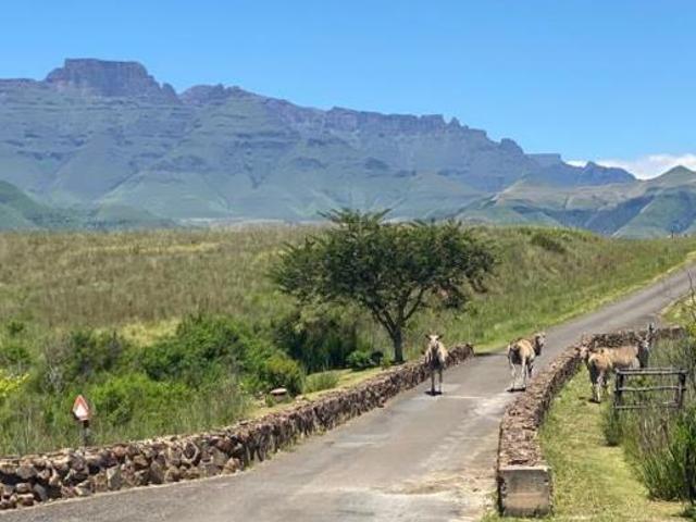 Land for sale in Drakensberg, Kwazulu-natal