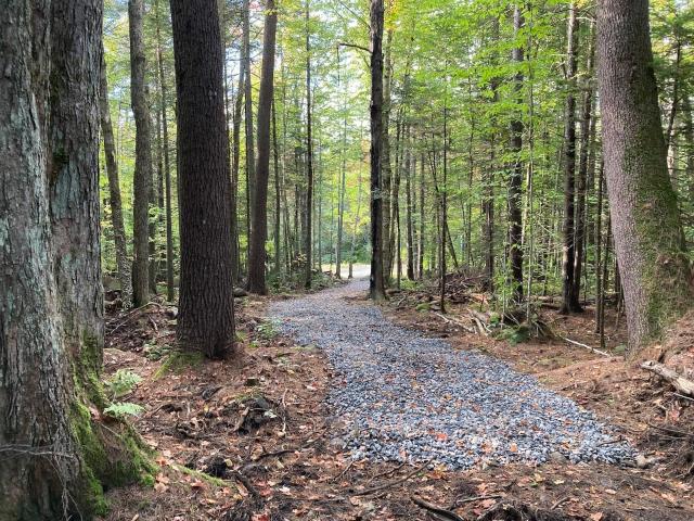 Land for sale in New Hampshire