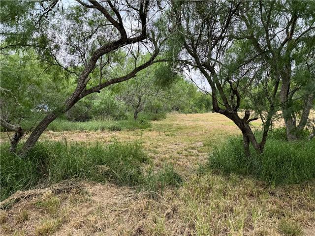 Land for sale in Corpus Christi, Texas