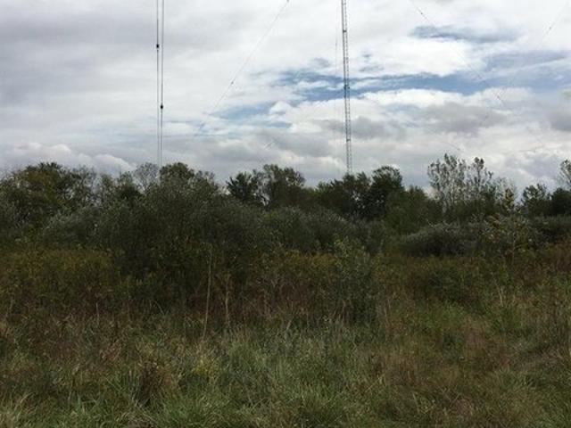 Farm for sale in East Saint Louis, Illinois
