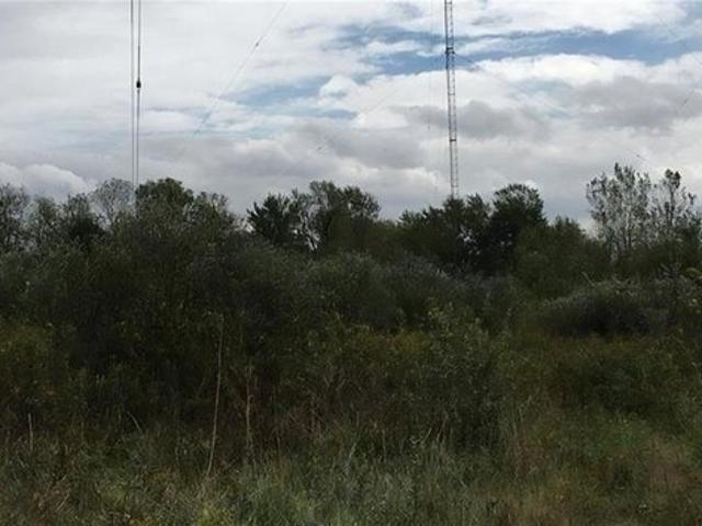 Farm for sale in East Saint Louis, Illinois