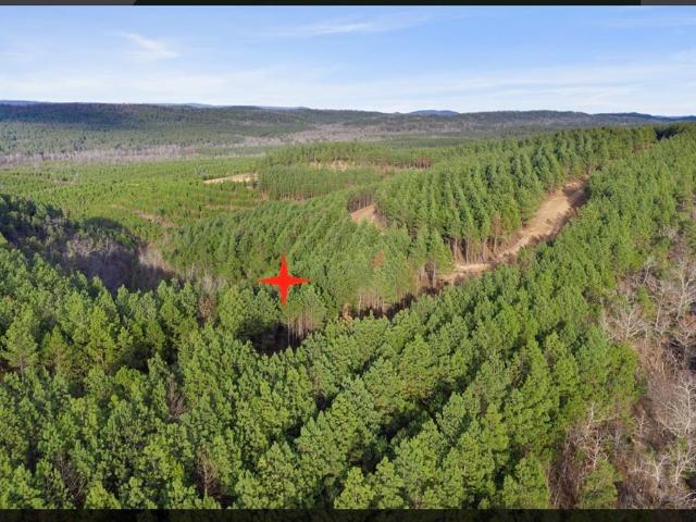 Land for sale in Broken Bow, Oklahoma