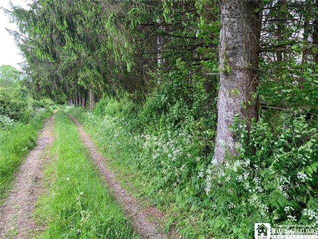 Land for sale in Cherry Creek, New York