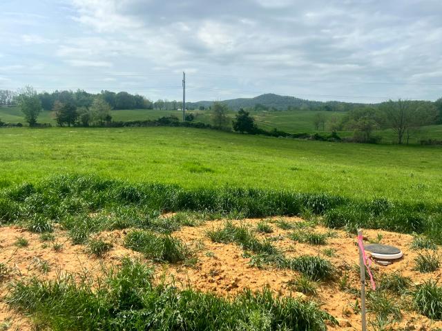 Land for sale in Albany, Kentucky