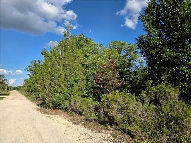 Land for sale in Bronson, Florida