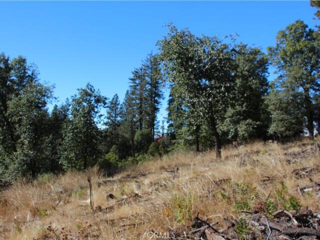Land for sale in Lake, California