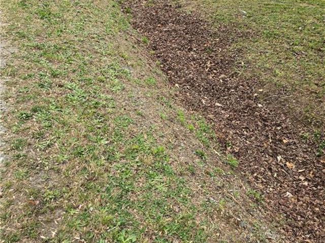 Land for sale in Davidson, North Carolina