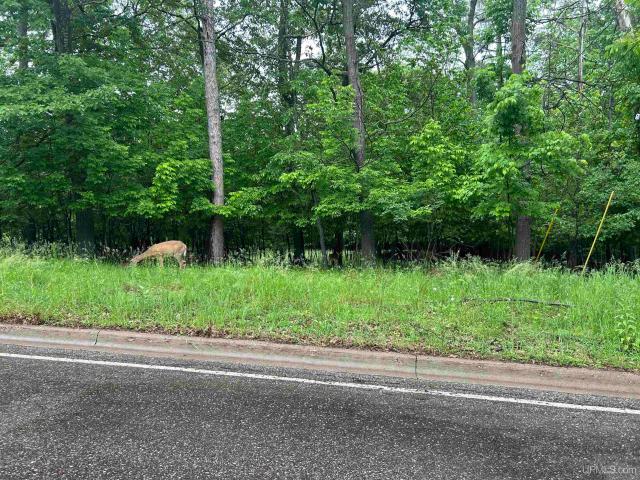 Land for sale in Iron Mountain, Michigan