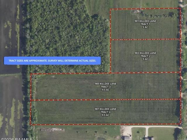 Farm for sale in Duson, Lafayette Parish
