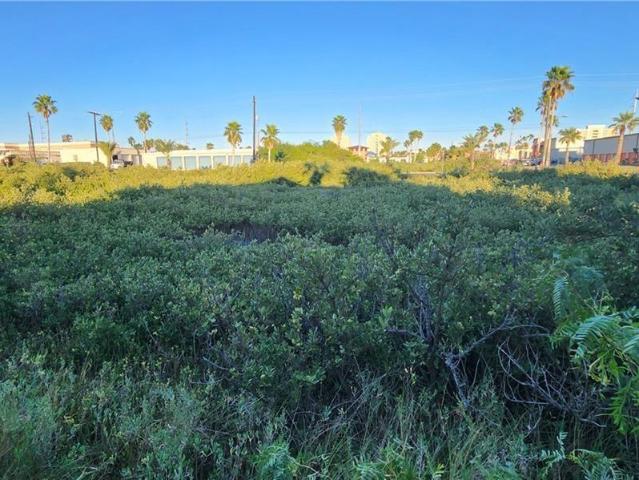 Land for sale in South Padre Island, Texas