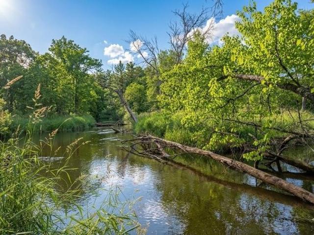 Land for sale in Hancock, Wisconsin