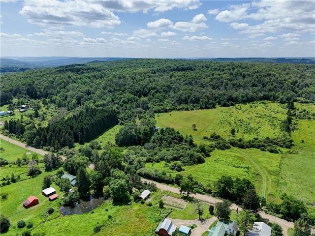 Land for sale in Dalton, New York