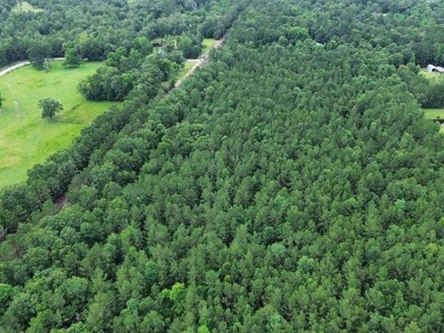 Land for sale in Jasper, Texas