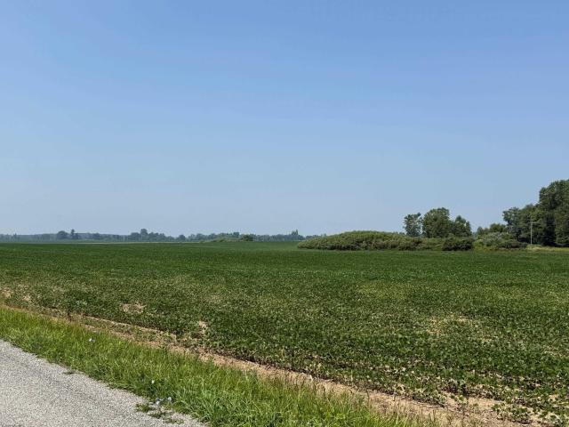 Land for sale in Morenci