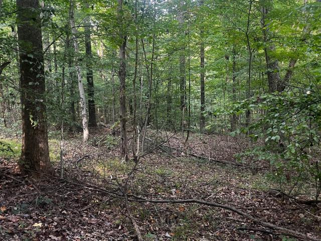 House for sale in Trafalgar, Brown County