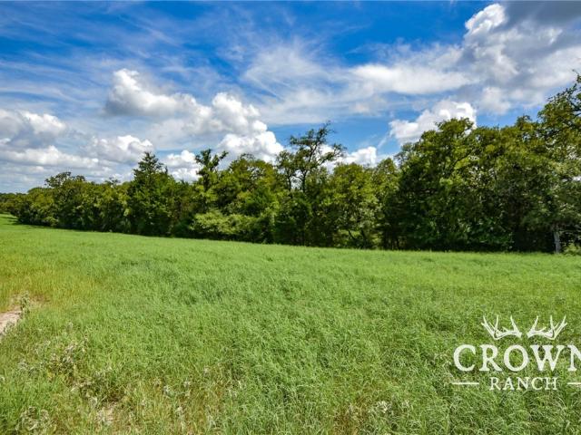 Land for sale in Rockdale, Texas