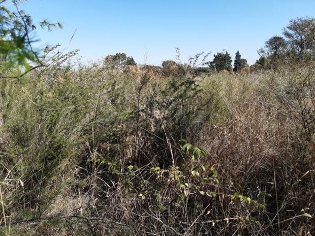 Land for sale in Parys, Ngwathe Local Municipality