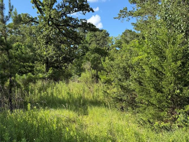 Land for sale in Diboll, Texas