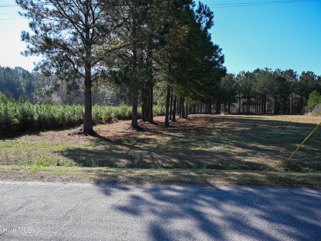 Land for sale in Clarendon, North Carolina
