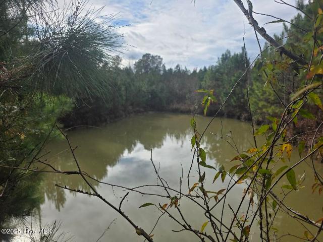 Land for sale in Bladenboro, North Carolina